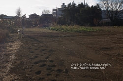 DSC_9607.jpg